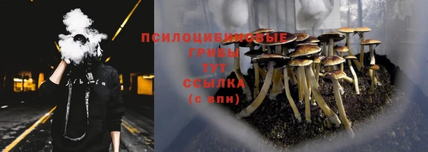 дмт Россошь