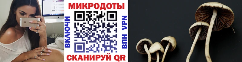 магазин продажи   shop Telegram  Псилоцибиновые грибы MAGIC MUSHROOMS  Красногорск 